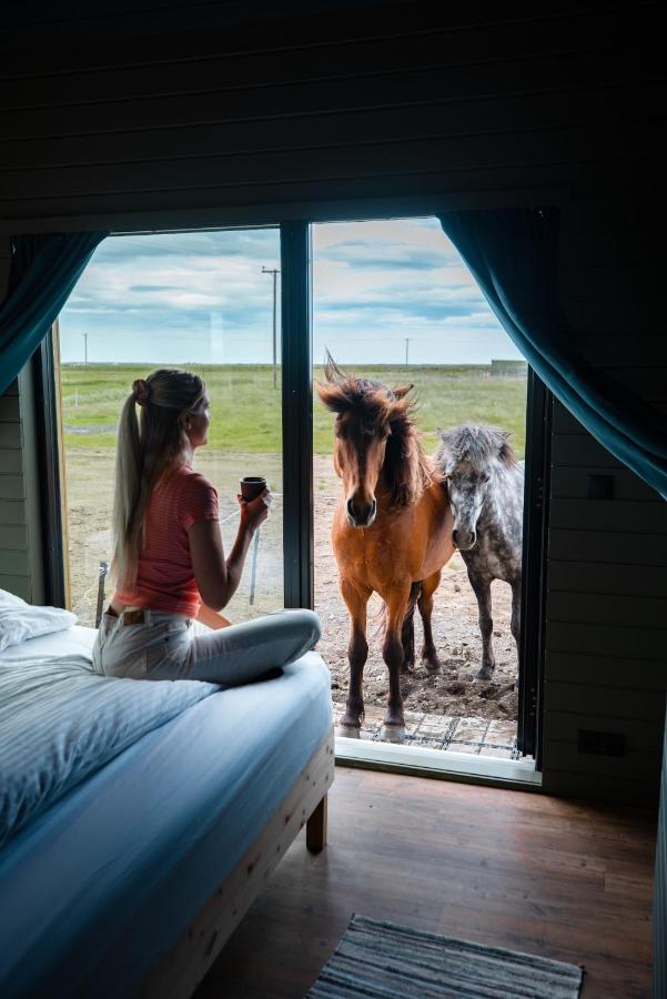 Апартаменты Sleeping With The Horses Хвольсвёдлюр Экстерьер фото