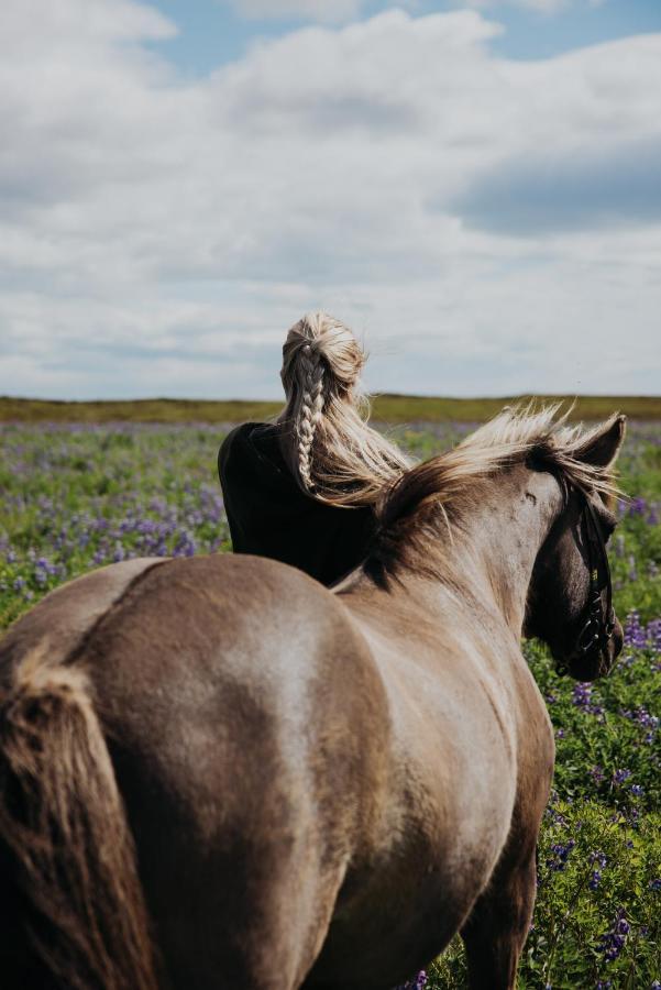 Апартаменты Sleeping With The Horses Хвольсвёдлюр Экстерьер фото