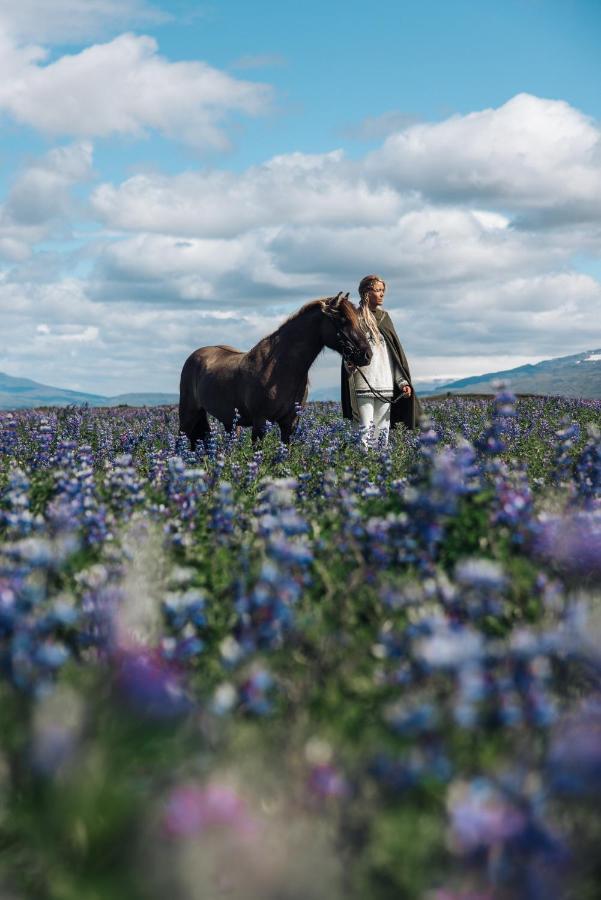 Апартаменты Sleeping With The Horses Хвольсвёдлюр Экстерьер фото