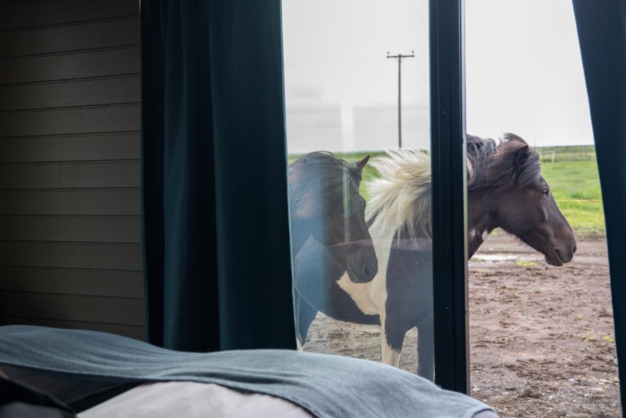 Апартаменты Sleeping With The Horses Хвольсвёдлюр Экстерьер фото