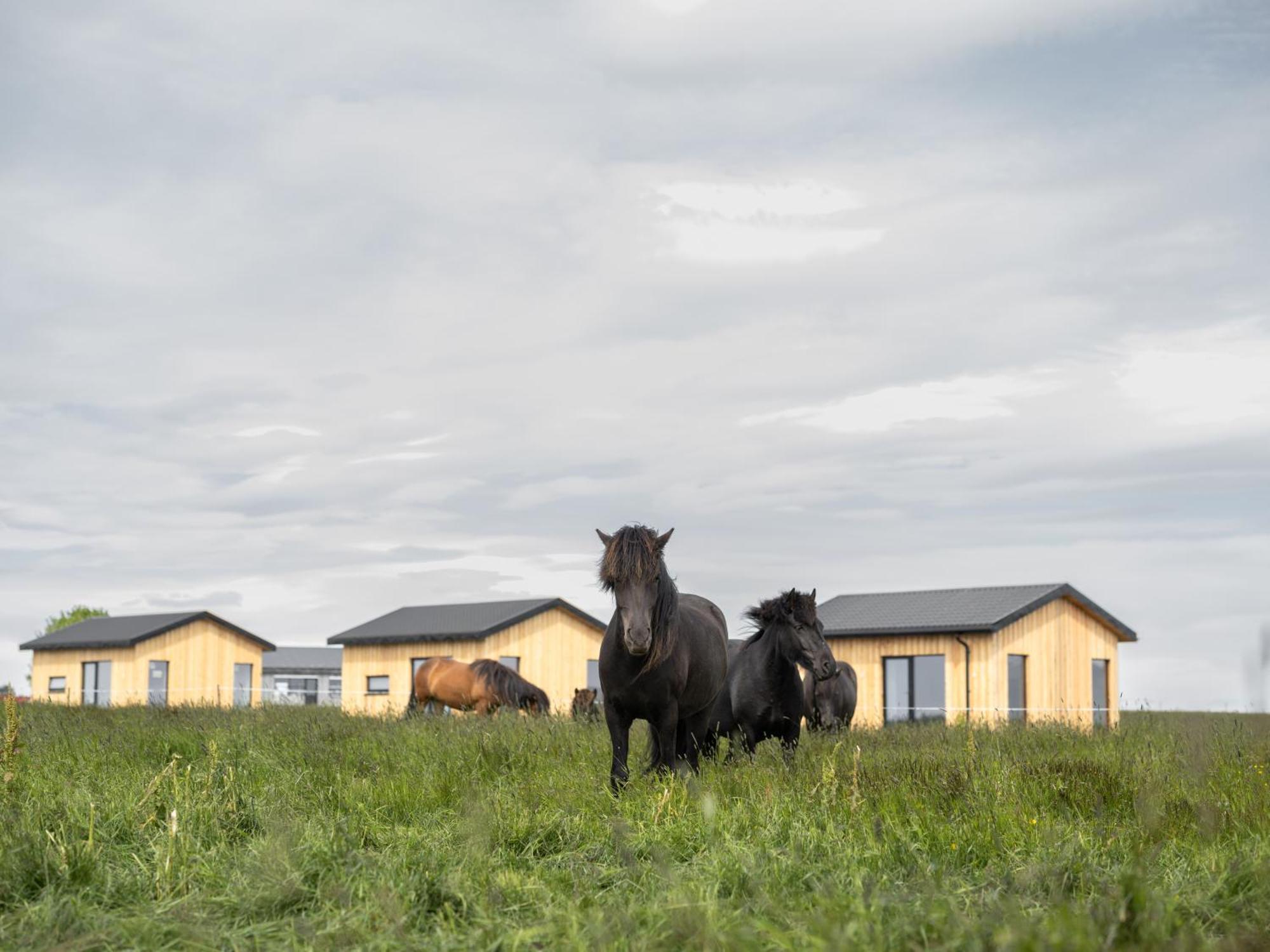 Апартаменты Sleeping With The Horses Хвольсвёдлюр Экстерьер фото