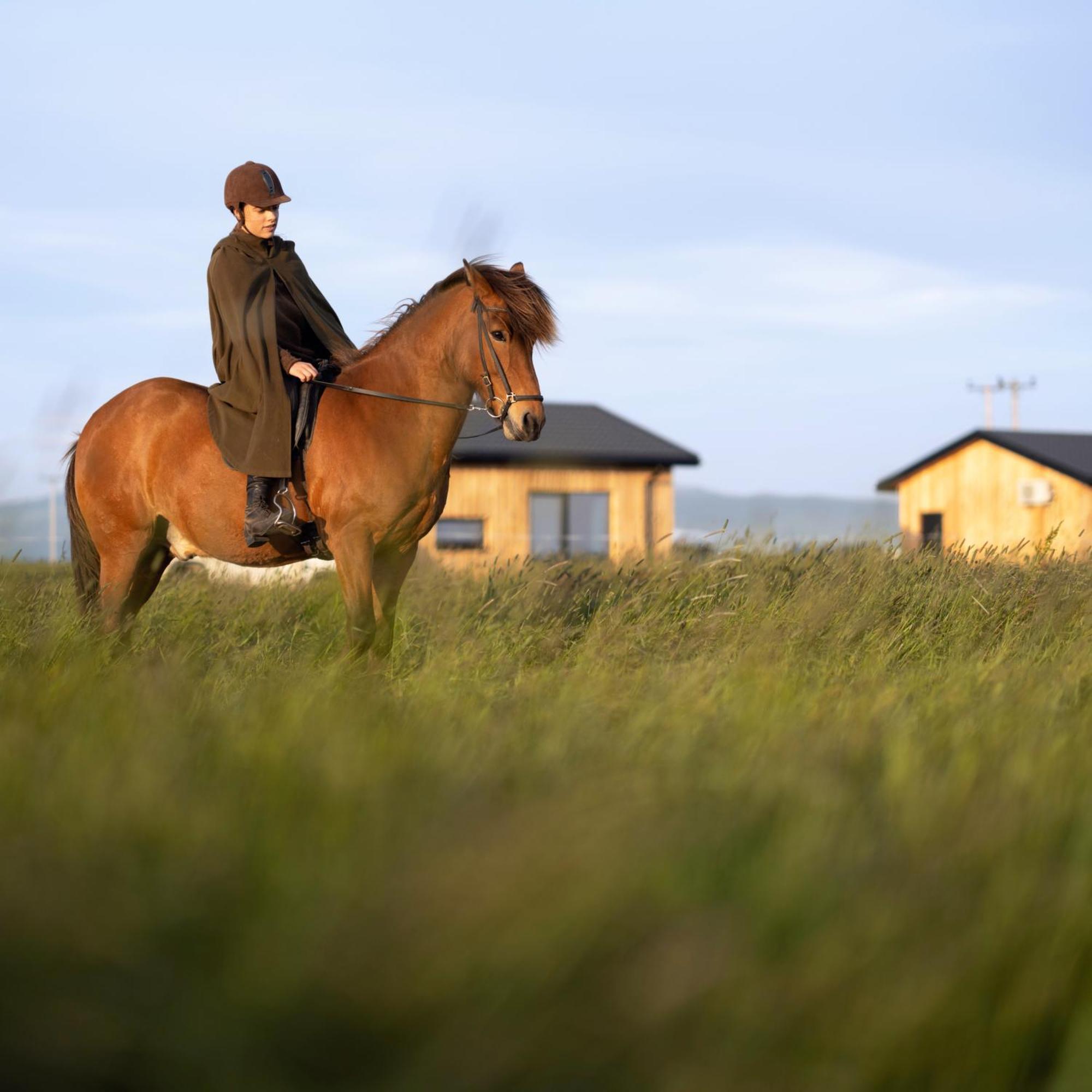 Апартаменты Sleeping With The Horses Хвольсвёдлюр Экстерьер фото