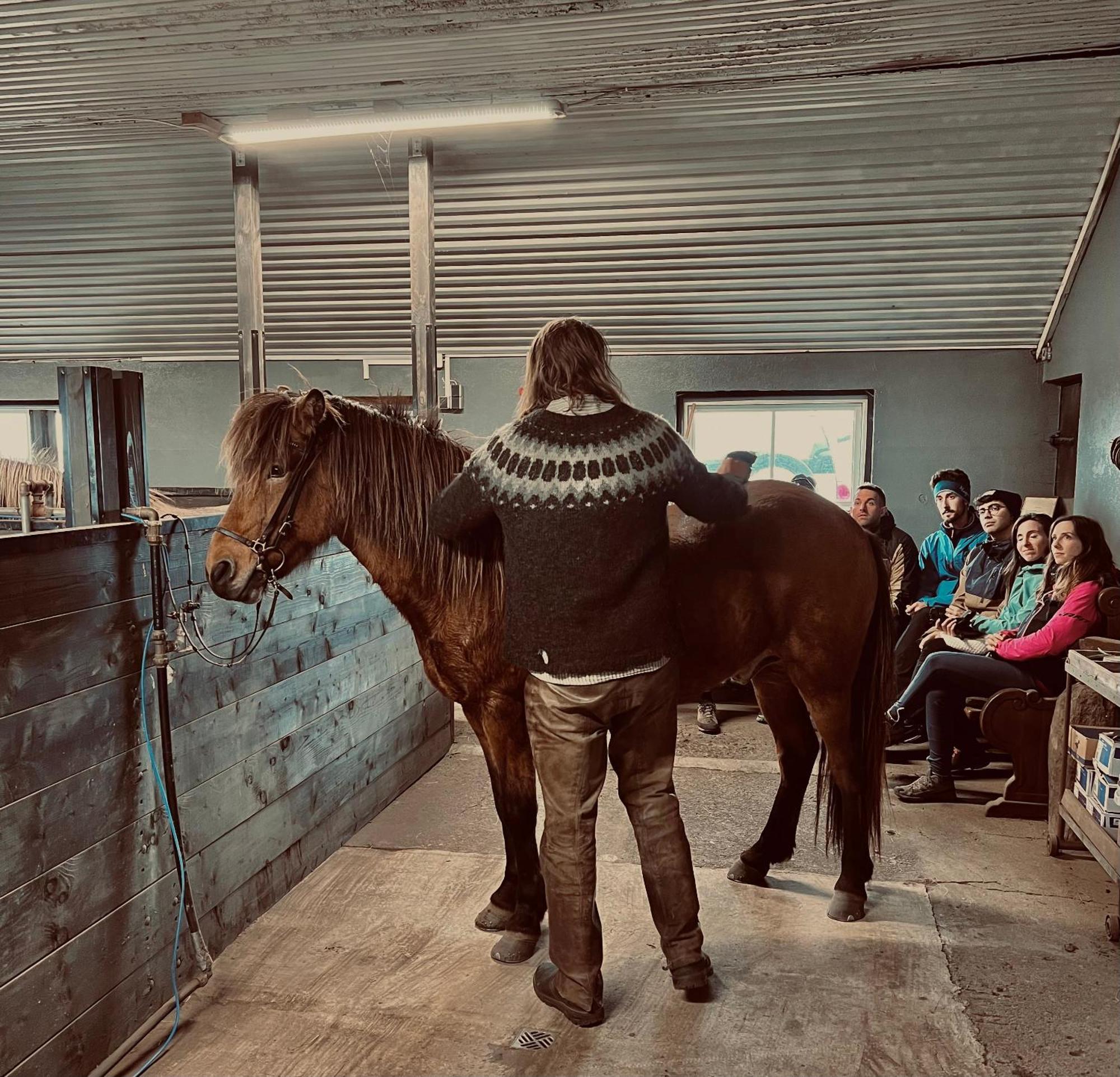 Апартаменты Sleeping With The Horses Хвольсвёдлюр Экстерьер фото